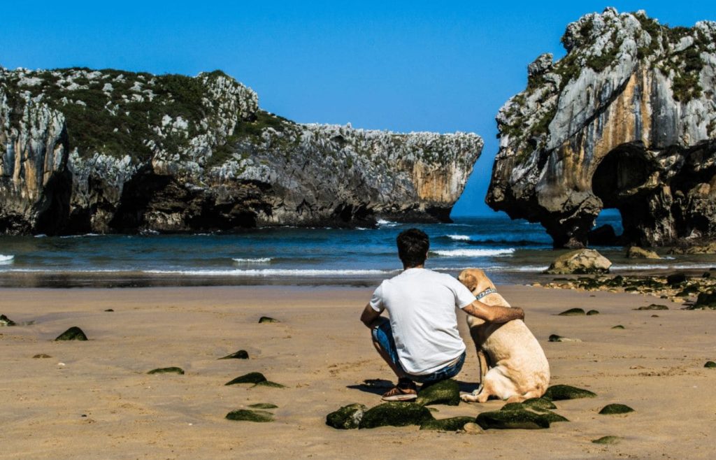 persona en la playa con su perro de espaldas mirando al mar