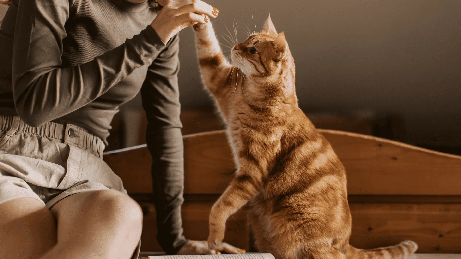 Gato y su dueña jugando y cogiendose de la mano